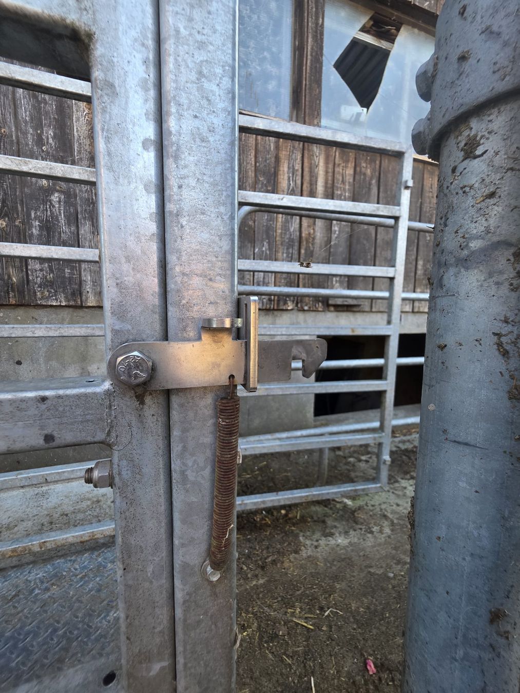 Altro in Accessori per animali: Viehwaage mit Wiegekäfig – Usato da Wohlen AG venduto da sachs505 2