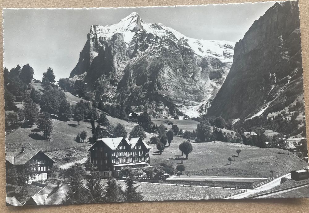 Grindelwald Schweizerhof Kaufen auf Ricardo