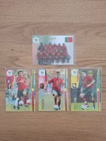 PANINI WORLD CUP 2006 TRADING CARDS PORTUGAL