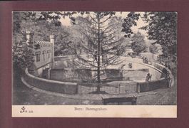 BERN - Bärengraben - 1904