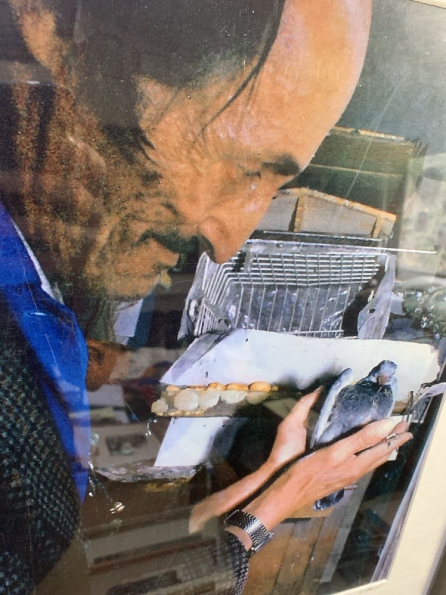 Foto & Immagini: Hans Krüsi Foto von E. Staub – Usato da Wolfhalden venduto da SecondAntique 1