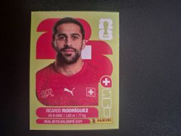 Panini WM 26 SUI 5