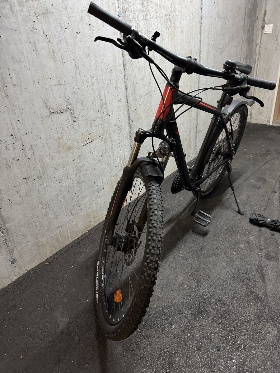 Biciclette: Velo – Usato da Schmerikon venduto da BiancaM03 4