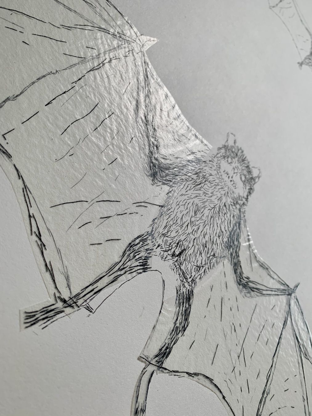 Grafiken & Lithographien: Kiki Smith - Lithographie Bat – Gebraucht aus Regensdorf von JoergR 4