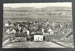 AK Erlenbach 