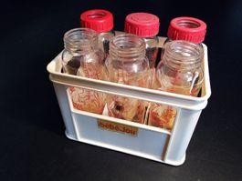 PYREX Babyflaschen - Babyfläschchen - Milch Flasche - Glas
