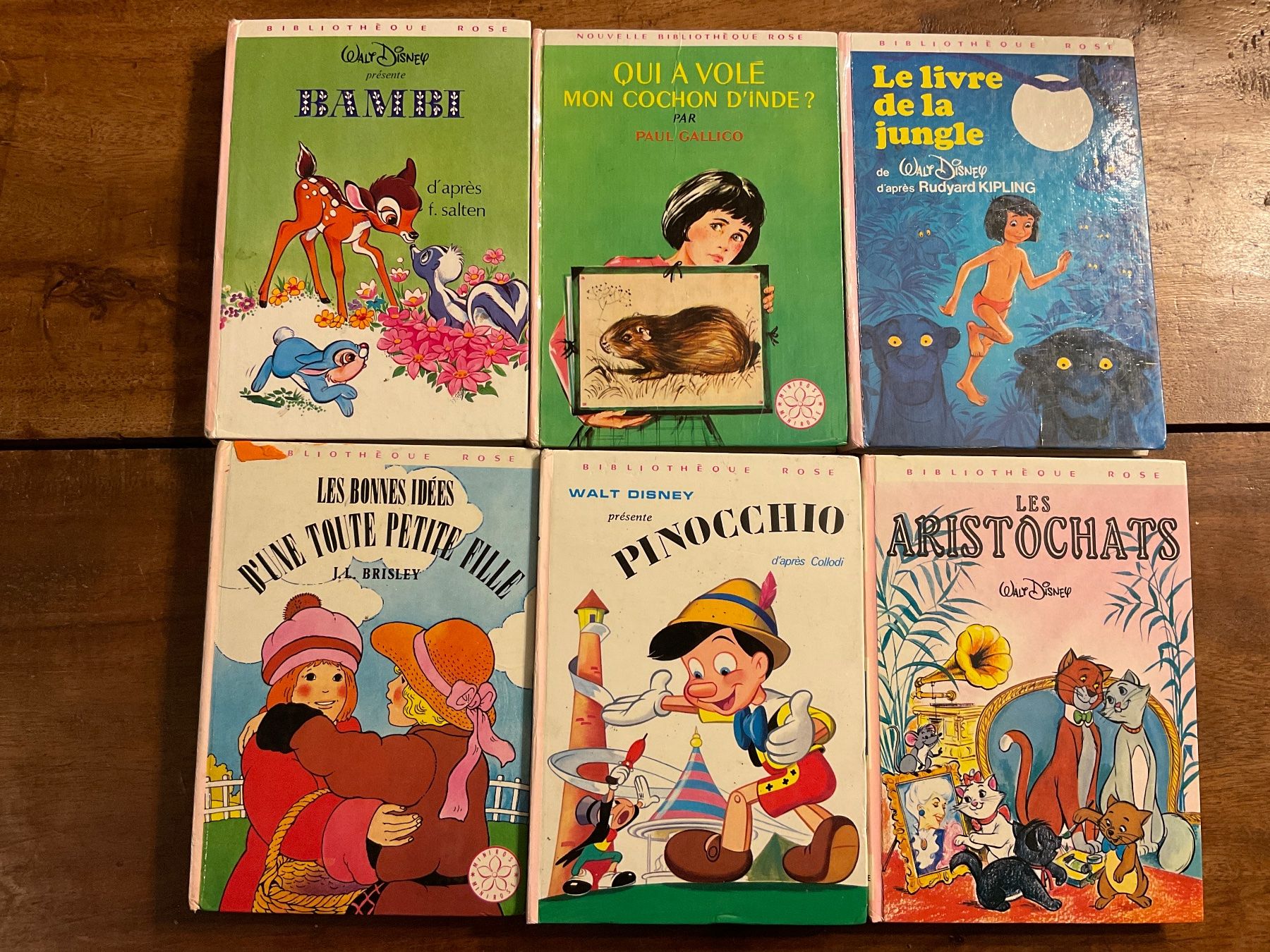 Libri: Bibliothèque Rose, Classiques Disney lot – Usato da Avenches venduto da Tinkey