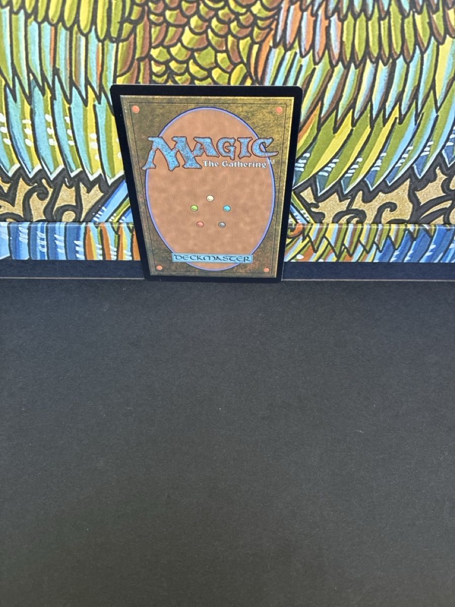 Karten: Magic the Gathering Verdant Catacombs  – Neu (gemäss Beschreibung) aus Oberkirch LU von edw_885b 1