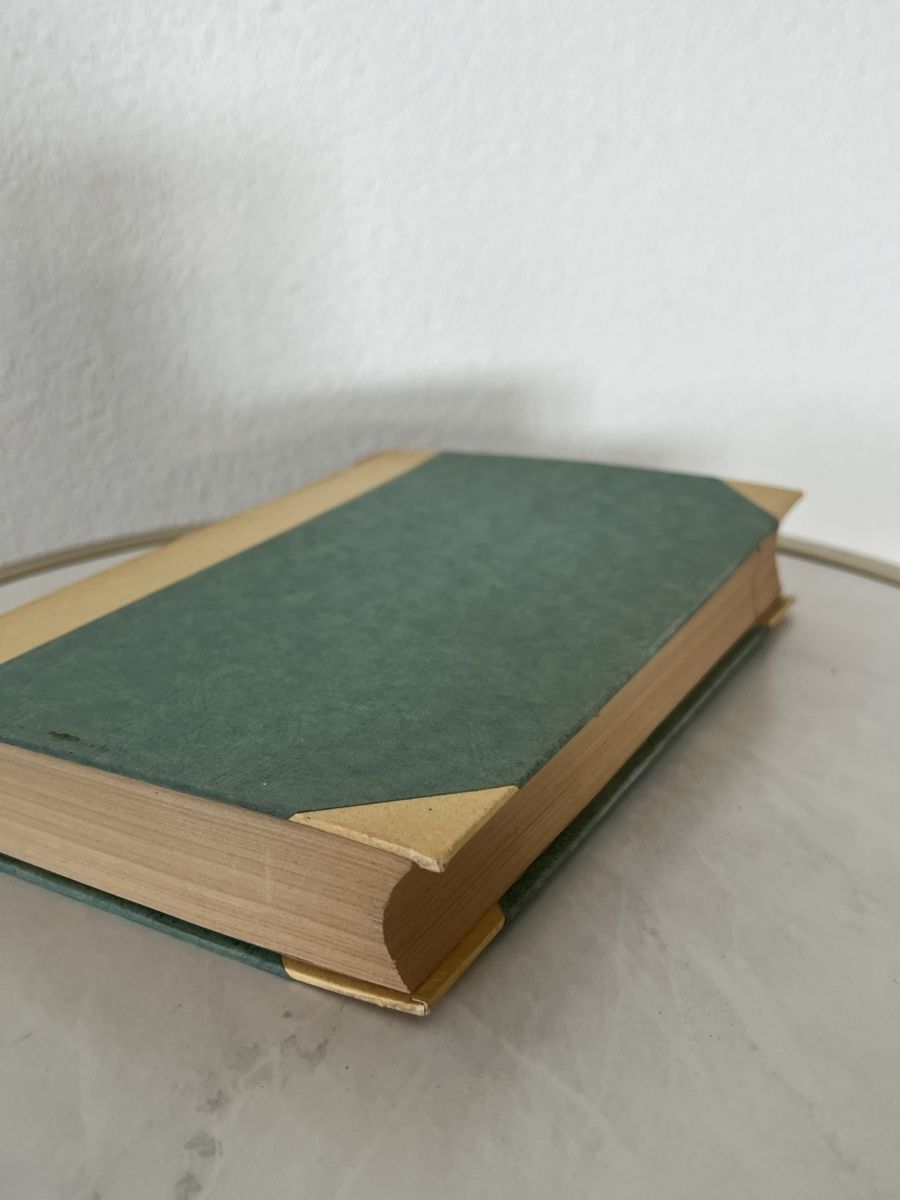 Bücher: Benvenuto Cellini übersetzt von Goethe – Gebraucht aus Bülach von mga_m6p2 2