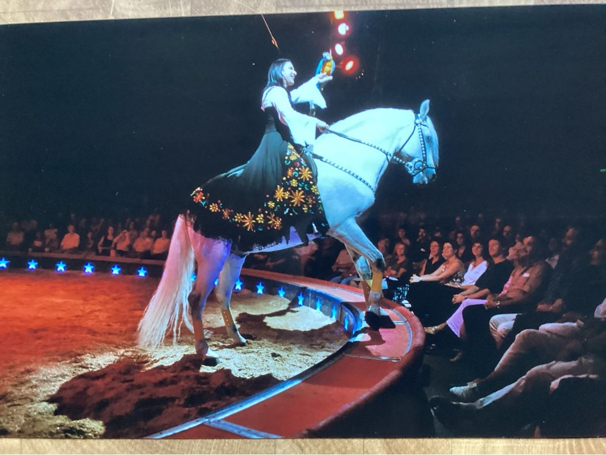 Foto & Immagini: Circus Knie Foto 2004 – Usato da Reichenbach i. K. venduto da astra2010