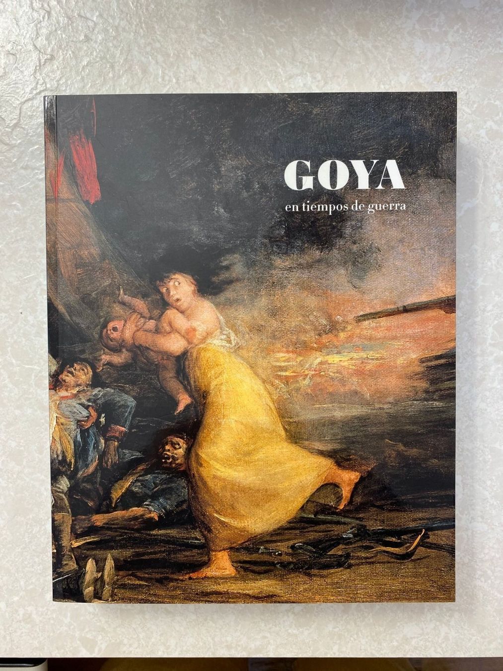 Libri: Goya: En tiempo de guerra – Usato da Starrkirch-Wil venduto da UB007