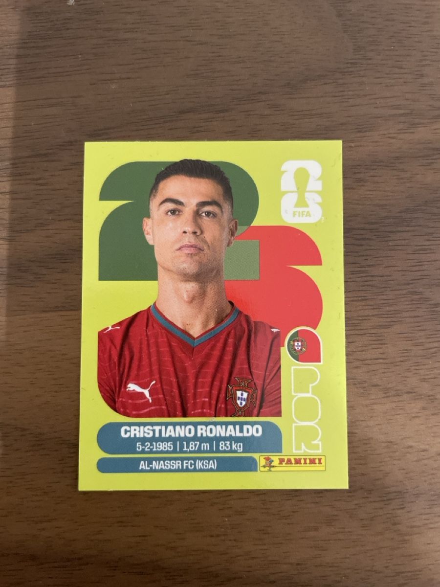 Panini Carte collezionabili: Wm 2026 Panini 7 seltene Sticker – Nuovo (secondo la descrizione) da Galgenen venduto da Stefan780 2