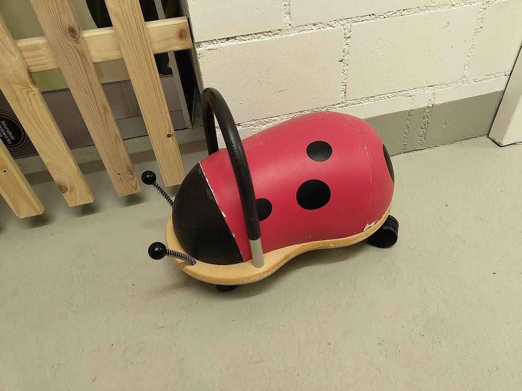 Fahrzeuge für Kinder: Wheely Bug Marienkäfer – Gebraucht aus Davos Platz von Tuomo1988
