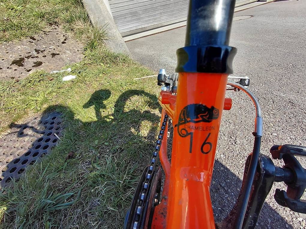 Biciclette: 16" Naloo Kindervelo – Usato da Haslen venduto da min_t96r 1