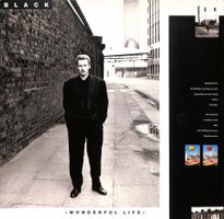 LP Black - Wonderful Life