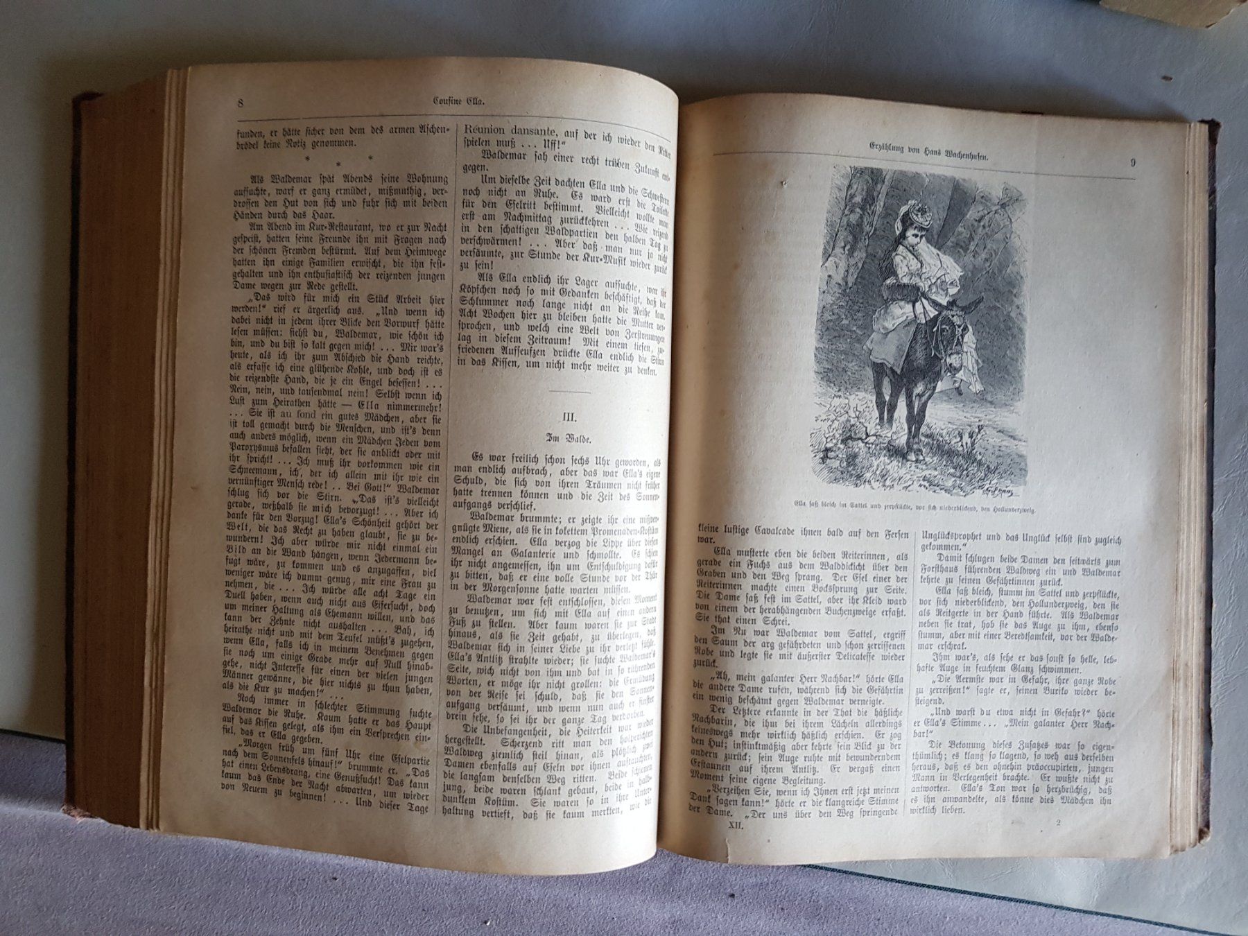 Bücher: antikes Buch: Sorgenlose Stunden - 1875 - Hackländer – Gebraucht aus Walterswil BE von Lonitti 4
