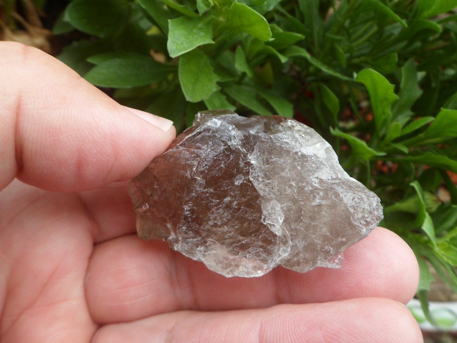Minerali & Pietre curative: Rauchquarz Gwindel Schweiz – Usato da Affoltern am Albis venduto da Fossil60 8
