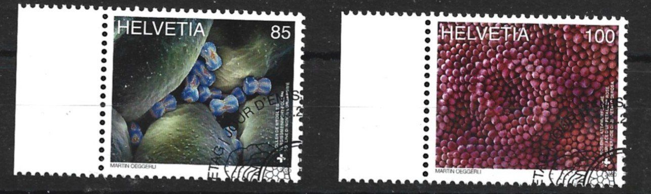 Tous les timbres: 2020 Schweiz – D'occasion à Trübbach par Sammer51