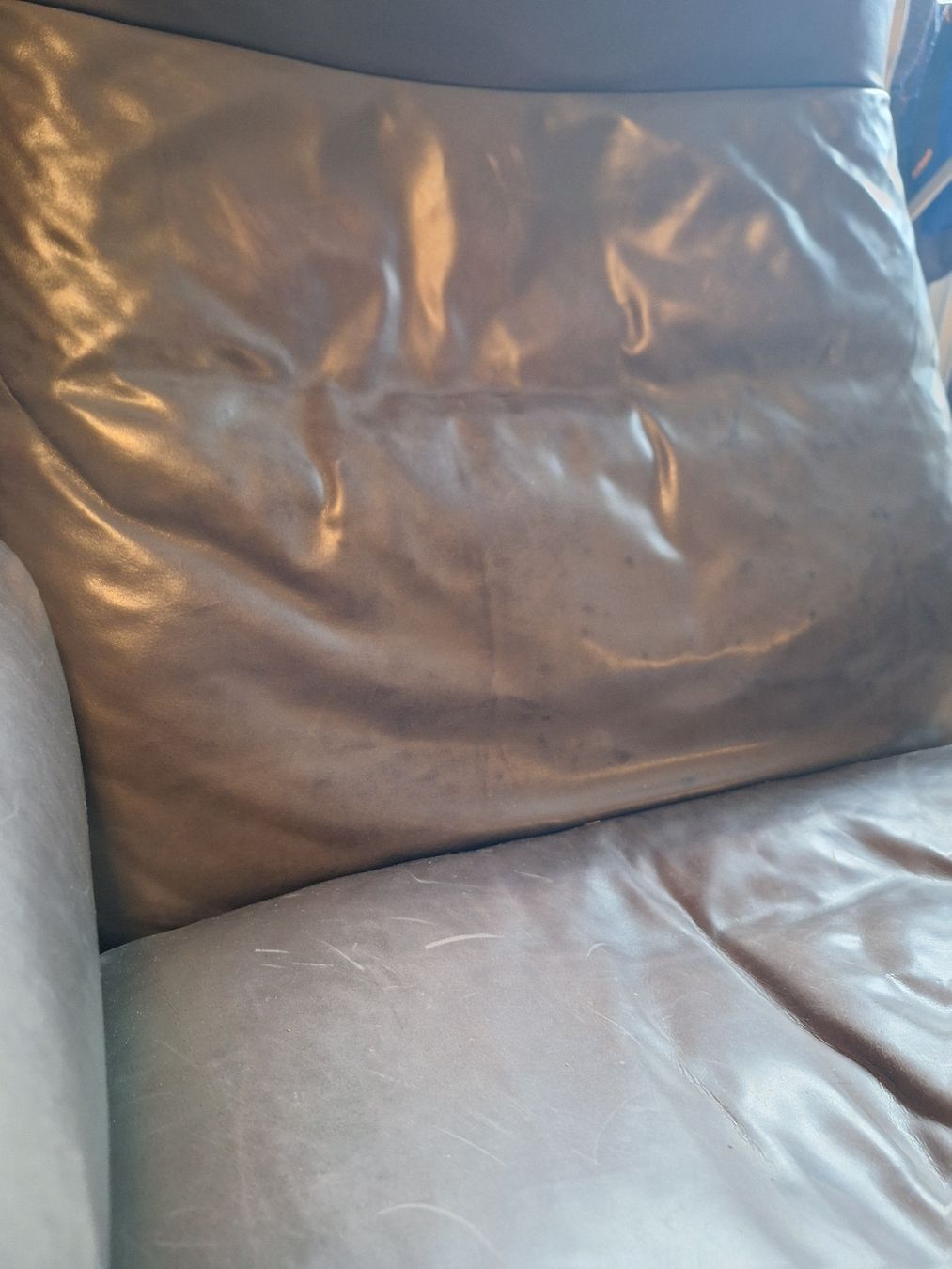 De Sede Poltrone: De Sede DS-2030 Lounge Chair – Usato da Bern venduto da carmenhaeller 7