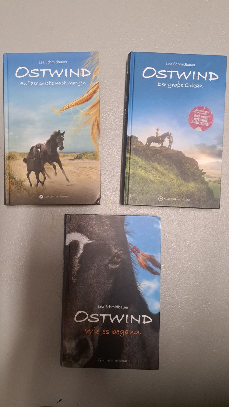 Libri: Ostwind - Bundle – Usato da Arbon venduto da bar_gy9w