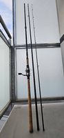 Shimano Beast Master zapfenrute Abu Garcia rolle 