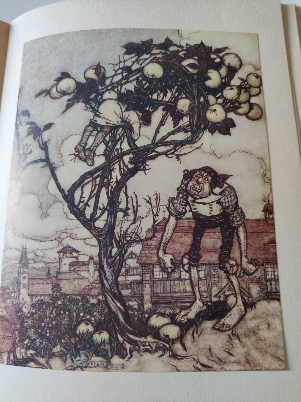Libri: Arthur Rackham Novellenbuch 1925 – Usato da Uster venduto da Arrayo 8