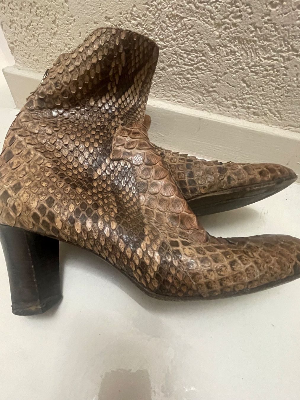 Scarpe da donna: Stiefeletten 40 Giorgio M. Venezia - Pitone – Usato da Minusio venduto da Pink222 1