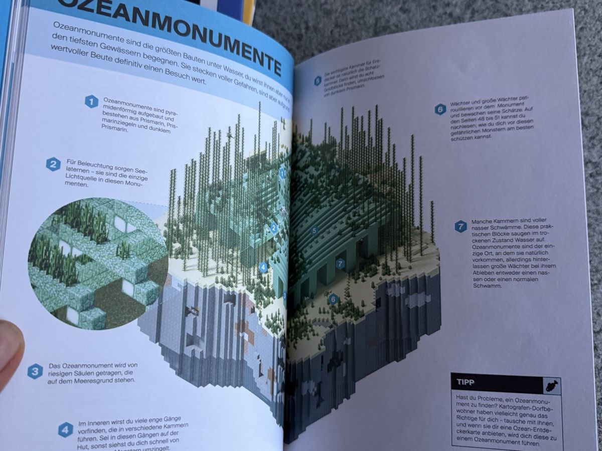 Libri: Minecraft Game Handbücher Set 5 Stk Bücher  – Usato da Deitingen venduto da Himhip 6