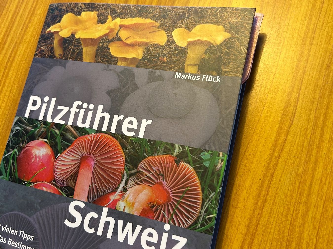 Altre raccolte & rarità: Buchzeichen Lesezeichen Buch Herz Kunstleder – Nuovo (secondo la descrizione) da Steffisburg venduto da smocky17 4