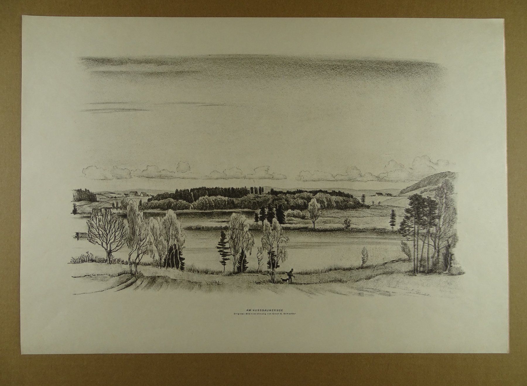 Dipinti: NUSSBAUMERSEE, LITHO VON E.E. SCHLATTER – Usato da Grüningen venduto da Kartensammler 1