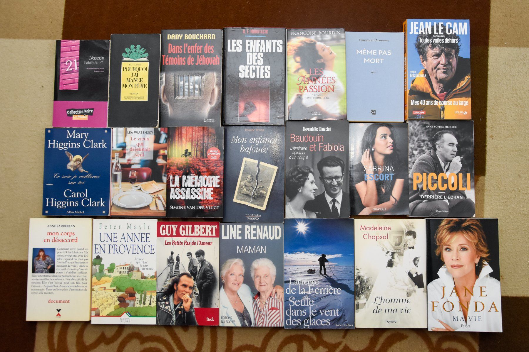Bücher: Lot 21 livres – Gebraucht aus Belmont-sur-Yverdon von bichet02