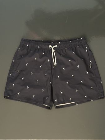 Badehose Hollister