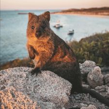 Profile image of Tiyhunter1