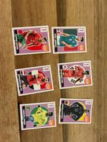 6 Extrasticker Panini