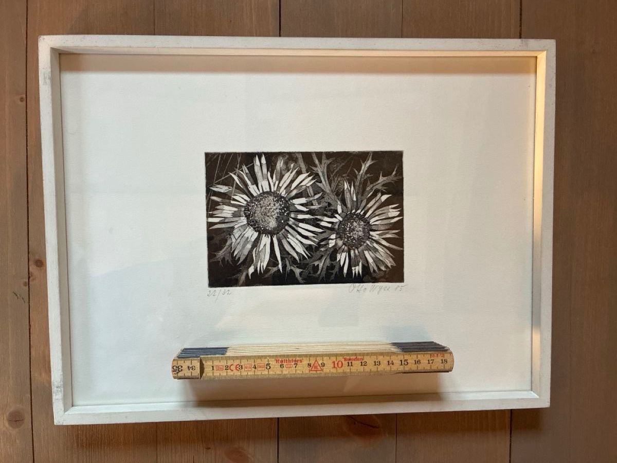 Grafica & Litografie: Lithographie Otto Wyss – Usato da Faulensee venduto da Cinclus 2