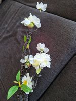 Kunstblume, künstliche Blume, Kunstpflanze, Pflanze