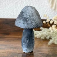 ✲ Gobi Achat Pilz ✲ 74g / 70mm Wüstenachat Agate Skulptur