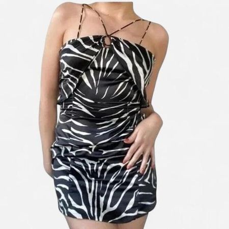 Zara Zebra Print Dress