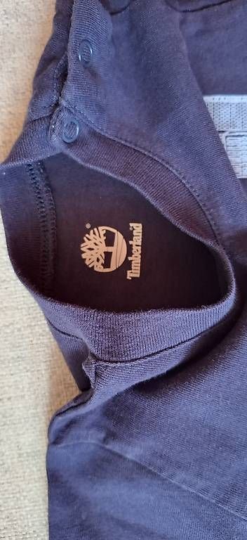 Timberland Camicie, T-shirt & Polo: Zwei Timberland Shirt Gr.74 – Usato da Noflen BE venduto da gab_lj9f 1