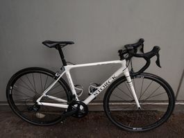 Storck Carbon Rennvelo RG 51cm S / M Weiss 50 52 2021 Neuw.