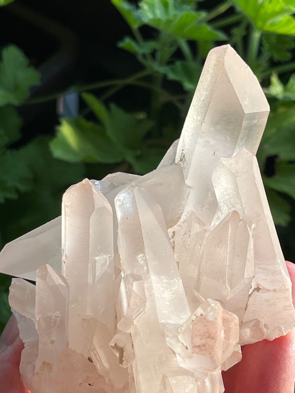 Minerali & Pietre curative: Bergkristall mit bis zu 7 cm langen Spitzen! – Usato da Uster venduto da Arrayo 8