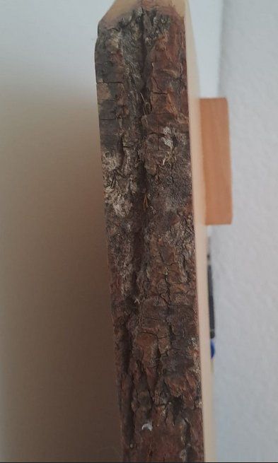 Orologi: Wand- Uhr mit Pferd & Hufeisen – Usato da Zetzwil venduto da Sonneblueme987 5