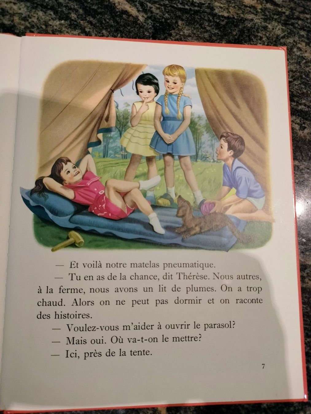 Libri: Martine fait du camping – Usato da Cortaillod venduto da rozinna 3