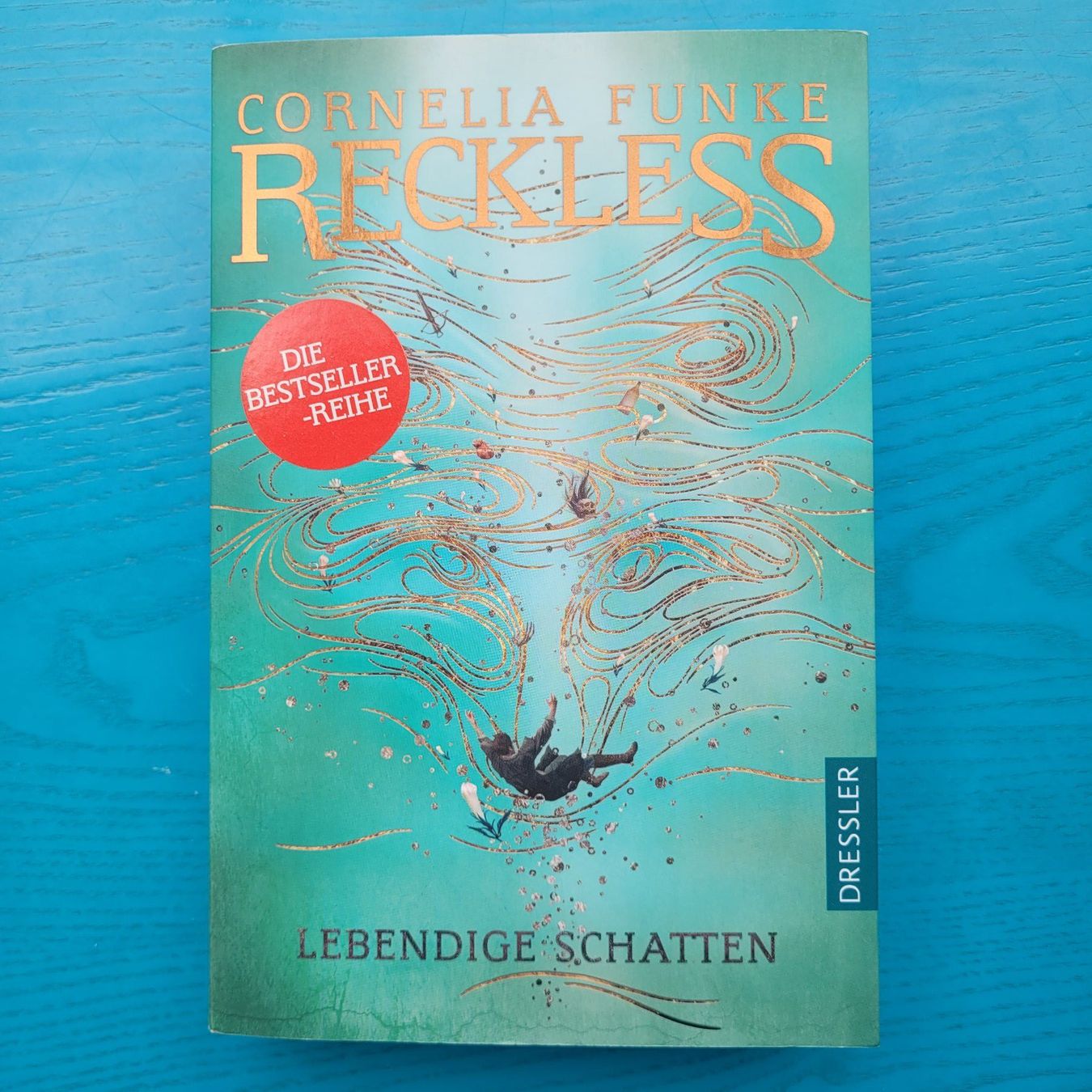 Libri: Cornelia Funke- Reckless ( Lebendige Schatten) – Usato da SCHÜBELBACH venduto da CoKaHa