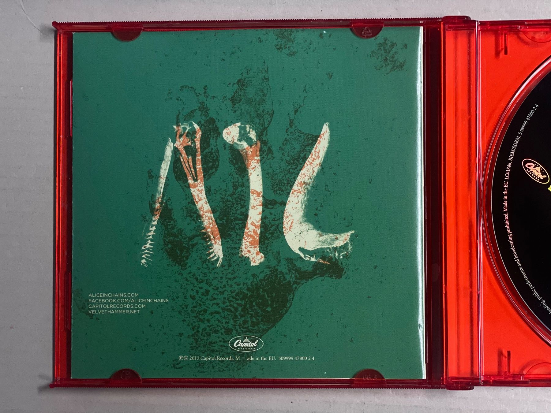 CD: Alice In Chains - The Devil Put Dinosaurs Here – Usato da Muri b. Bern venduto da AdidasCollector 4