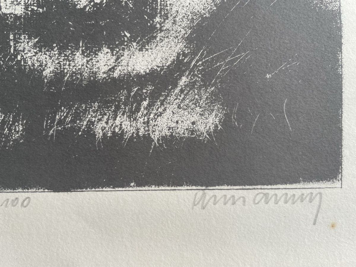 Arts picturaux & lithographies: Peter Caspary Probedruck Fenel? – D'occasion à Biel/Bienne par Galaq 2