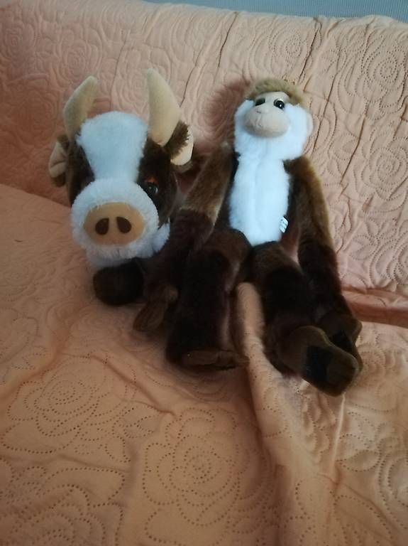 Giocattoli: Peluches – Nuovo e nell'imballaggio originale da La Sagne VD venduto da bri_d6b5 4