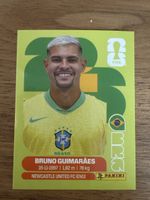 Panini 