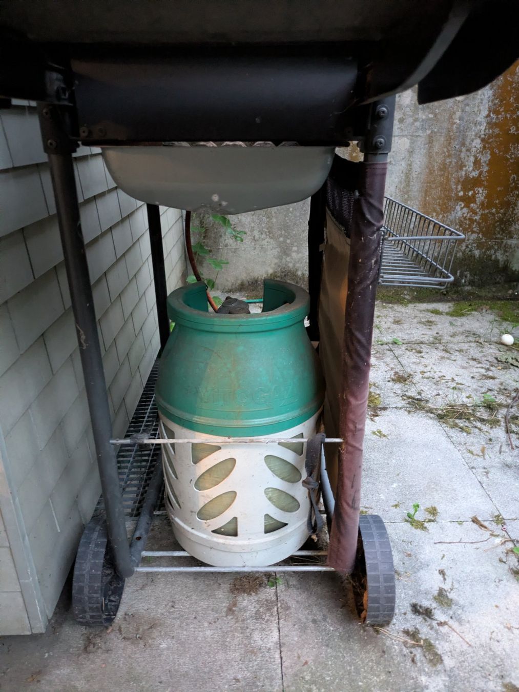 Grills: Gas-Grill mit Gasflasche – Gebraucht aus Luzern von NateLee