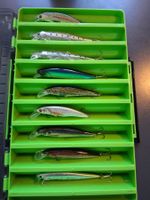 18 Poissons Nageurs 12cm neufs avec boîte
